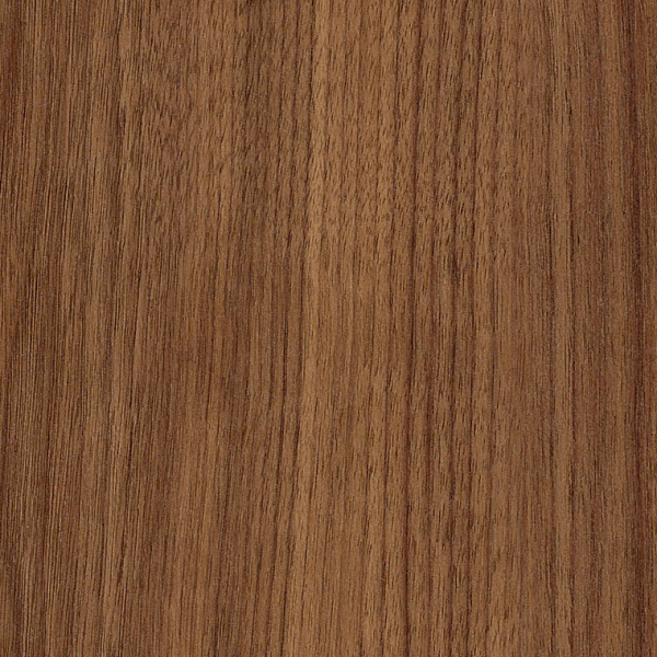 Exotic Walnut SS5W2541