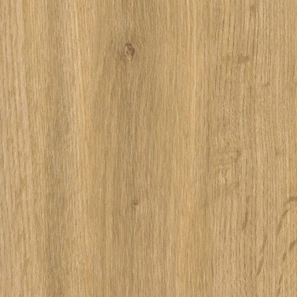 Falmouth Oak SF3W1031