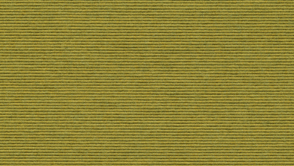 643 Tundra