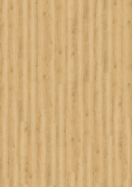 Wheat Golden Oak DLC00080