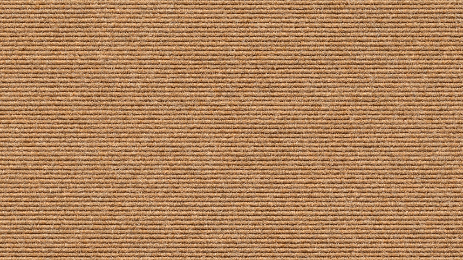 SW90509.380