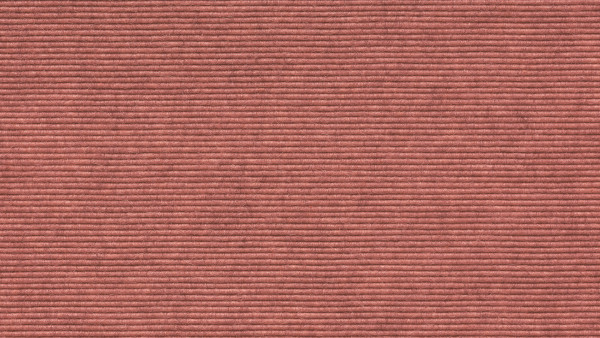 588 Rosa