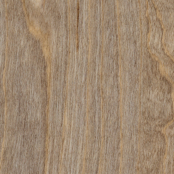 Bleached Elm SX5W2516