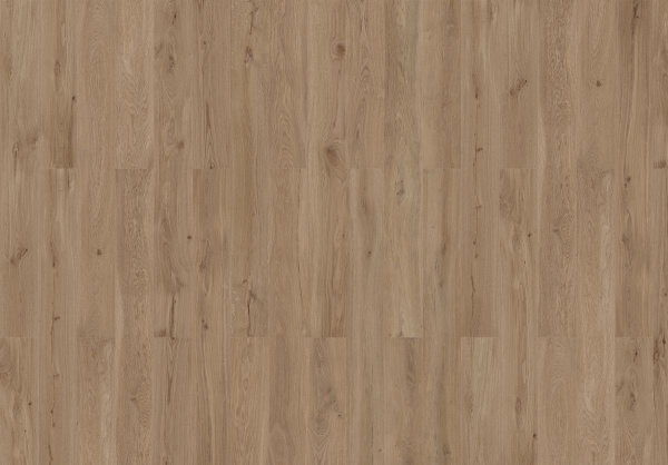 Dakota Oak 80003593