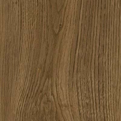 Brindle Oak SX5W2657