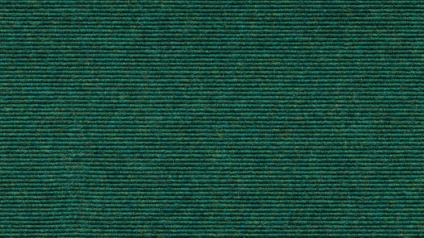 558 Opal