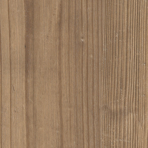 Dry Cedar SS5W2535