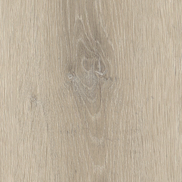 Wilverley Oak AR0W8870