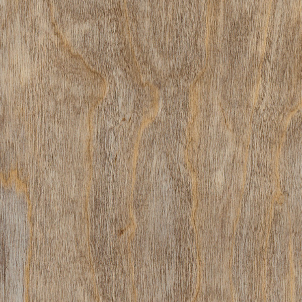 Bleached Elm SS5W2516