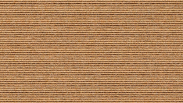 602 Cashew
