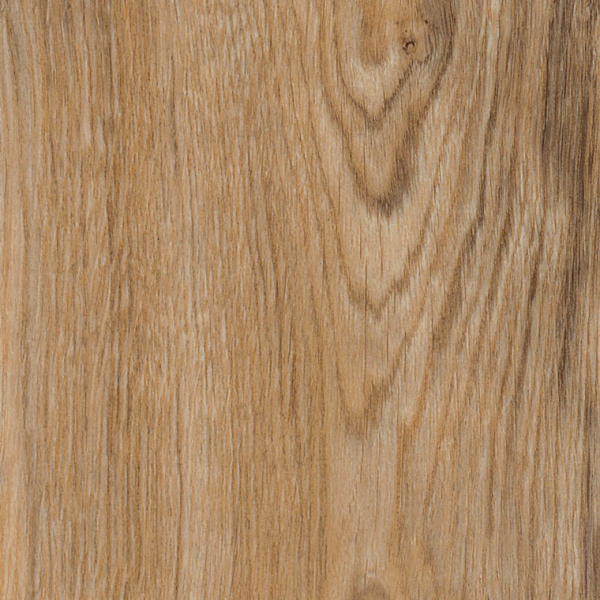 Featured Oak SF3W2533