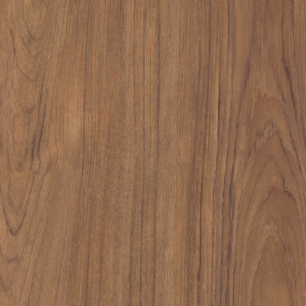 Dry Teak AR0W7810 