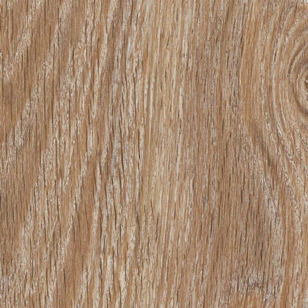 Salted Oak AR0W8210 