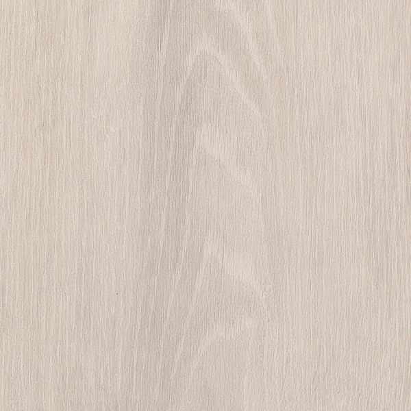 Iced Oak SS5W3310