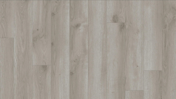 Contemporary Oak Grey 260025008