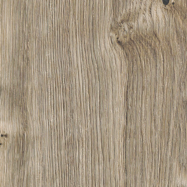 Sun Bleached Oak SF3W2531