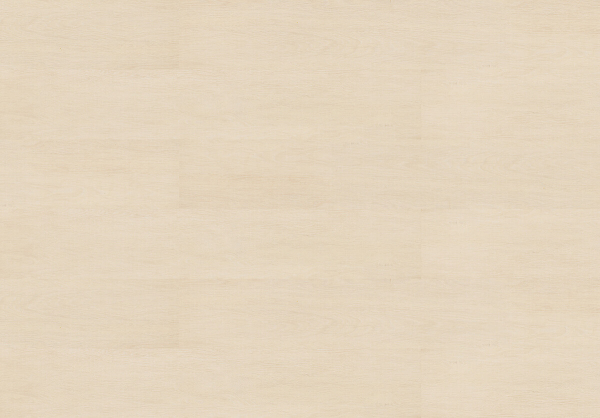Contempo Ivory 80003515