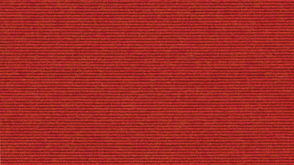 582 Grapefruit