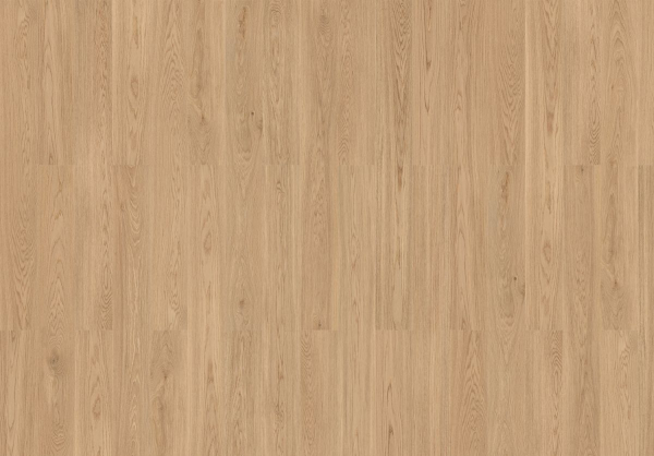 Pure Oak 80003571