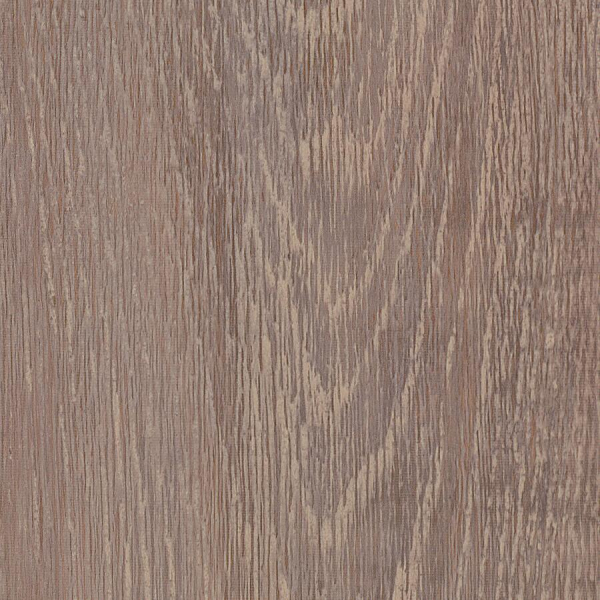Carriage Oak SS5W3316