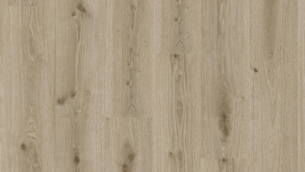 Primary Oak Light Grey 260032006